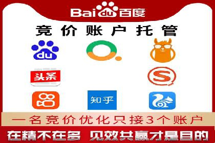 竞价托管助力sem推广：成功案例解析与启示